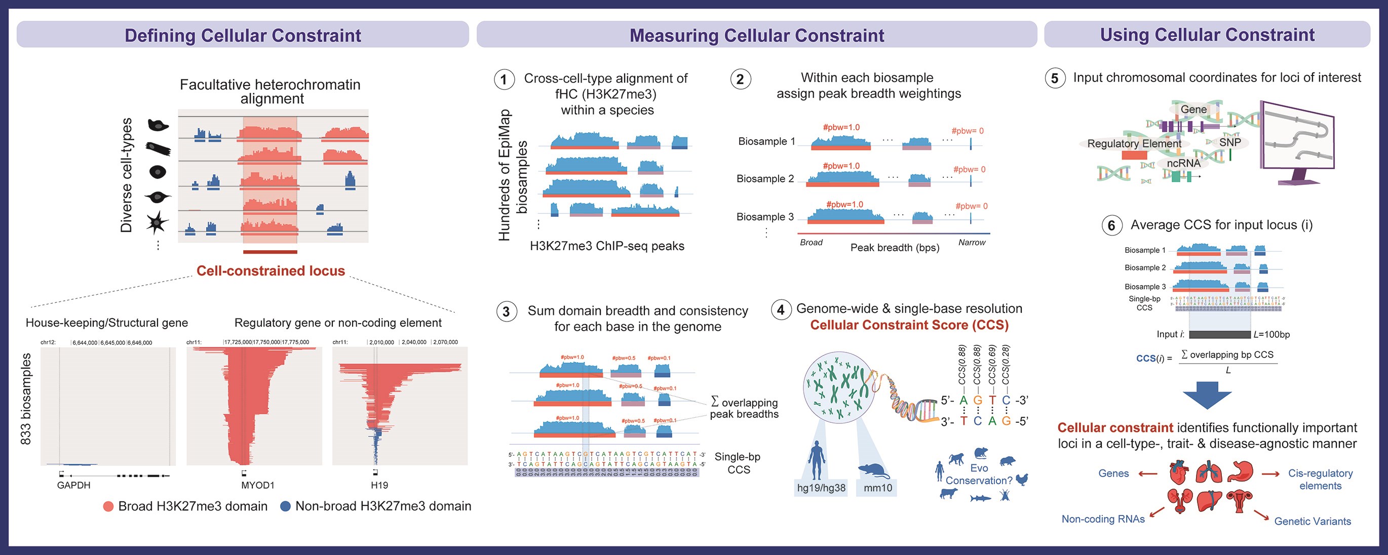 Click to view full size Graphical Abstract